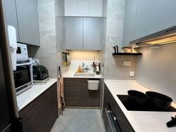 Stirling Residences (D3), Apartment #589297301